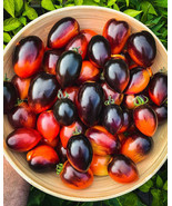 PPA 50 Seeds Midnight Roma Tomato Tomatoe Vegetable Garden Edible Canning - $4.76