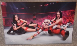 Bella Twins vs Catwoman  &amp; Harley Quinn Glossy Print 11 x 17 In Plastic Sleeve - £19.92 GBP