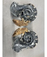 1955-1956 Chevy BelAir Nomad Horns Hi Lo Oldsmobile 88 98 Buick OEM 150 ... - $3,943.75 MXN