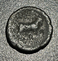 1st-2nd Siècles BC Grec Aeolis Aegae AE 18.2mm Apollo &amp; Chèvre Pièce de Monnaie - £27.75 GBP