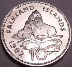 Large Rare Proof Falkland Islands 1982 10 Pence~Ursine Seal~Only 5k Minted~Fr/Sh - £16.67 GBP