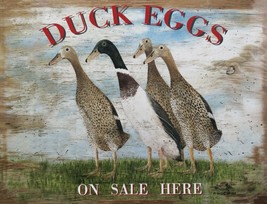 Duck Eggs Poultry Fowl Farm Animal Bird Country Metal Sign - £23.94 GBP