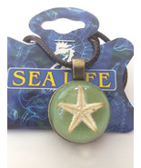 Real Starfish in Clear Resin Charm Necklace Pendant Assorted Colors Surf... - €10,32 EUR