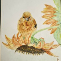 LuAnn Buechel American Goldfinch and Sunflowers Colored Pencil Drawing Wisconsin - £15.57 GBP
