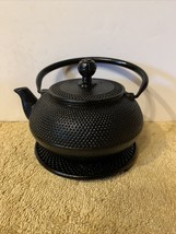 Nanbu Nambu Tekki Japanese Teapot Kettle Tetsubin Ironware - $267.30