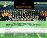 1981 CINCINNATI BENGALS 8X10 TEAM PHOTO  PICTURE NFL FOOTBALL AFC CHAMPS - £3.85 GBP