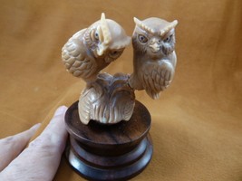 (tb-bird-owl-9) three little tan Owls TAGUA NUT palm figurine Bali love owl - £66.50 GBP