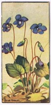 Cowan Co Toronto Card Blue Violet Wild Flowers Of Canada - $9.89