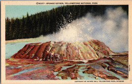 Sponge Geyser, Yellowstone National Park Vintage Postcard Unposted - £5.11 GBP