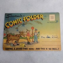 Vintage Souvenir Comic Folder Postcards 9-2 Sided Cards Tichnor Bros Boston - $8.95