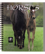 2004 HORSES Weekly CALENDAR - £4.66 GBP