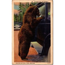 Vintage Linen Postcard, Bear at Car Window Please Sir I&#39;m Hungry Glacier... - £11.56 GBP