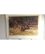 WHITE TAIL DEER PRINT BY TRAVIS KEESE - £51.00 GBP