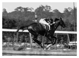 War Admiral Champion Racehorse On Track Belmont Stakes 5X7 B&amp;W Photo - £6.70 GBP