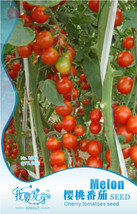 Very Sweet Red Cherry Tomato &#39;Hong Gu Niang&#39; Organic Seeds, Original Pack, 10 Se - £2.78 GBP