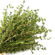 SHIP FROM US 25,000 Common German Winter Thyme Herb Seeds, ZG09 - £22.60 GBP