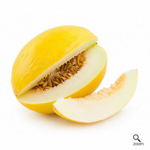 Melon Canary Bright Yellow Pale Green Flesh Sweet NonGMO 30 Seeds - £3.92 GBP