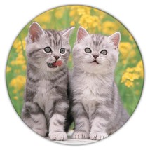 Cat : Gift Coaster Cute Animal Kitten Funny Friend Flowers - £3.92 GBP