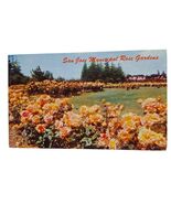 Postcard San Jose Municipal Rose Gardens California Chrome Unposted - $6.87 CAD