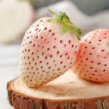 White Strawberry Seeds Pineberry Hula berry Alpine berry  - £6.26 GBP