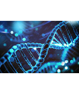 special 24-Strand DNA Activation with Bonus 144th Strand Activation Awak... - $547.00 MXN