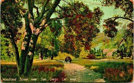 Woodland Scene Horse and Carriage Near San Diego California CA DB Postcard E1 - $2.48