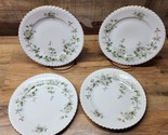 Hawthorn By Franconia Krautheim 8” Luncheon Plate - Selb Bavaria - Set Of 4 - $51.89