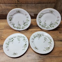 Hawthorn By Franconia Krautheim 8” Luncheon Plate - Selb Bavaria - Set Of 4 - £41.47 GBP