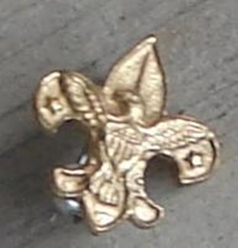 Nice Vintage Gold Tone Boy Scout Pin, Very Tiny, VERY GOOD CONDITION - $4.94