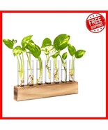 Stylish 7  Tube Propagation Station with Wooden Stand for Indoor Gardening - $36.67 CAD