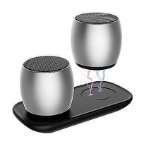 Color: SILVER - Sound Of Love Duet Dual Speakers - $66.64