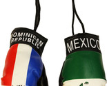 Dominican Republic and Mexico Mini Boxing Gloves - $5.94
