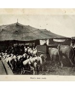 1930 Circus Pre Show Big Top Print Antique Carnival Ephemera 8 x 5  - $29.99