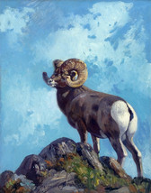 Framed canvas art print Giclée rocky mountain ram BELMORE BROWNE - £31.13 GBP+