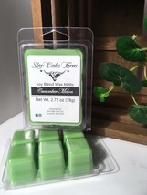 Handmade Cucumber Melon Soy Blend Wax Melts 2.75 Oz Candle Warmer Cube Tarts - £5.08 GBP