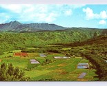 Hanalei Valley Birds Eye Viewe Kauai Hawaii HI  Chrome Postcard M7 - £2.29 GBP
