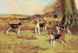 Beagles by  Thomas Ivester Lloyd - Art Print - £17.23 GBP+