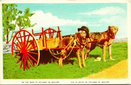 Vtg Cartolina 1910s Canada Sainte Anne De Beaupre Cani IN Cappello Trascina Cart - £15.08 GBP