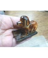 tn-dog-620) brown DOG puppy TAGUA NUT Figurine Vegetable dogs palm - €18,61 EUR