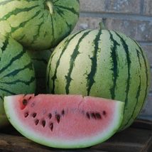 HeirloomSupplySuccess 25 Heirloom Klondike Blue Ribbon Watermelon seeds - £4.80 GBP
