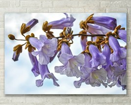 Royal Empress Tree, Abstract Floral, Nature Fine Art Photo, Metal, Canvas, Paper - £24.88 GBP+