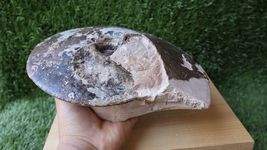 Item image 10