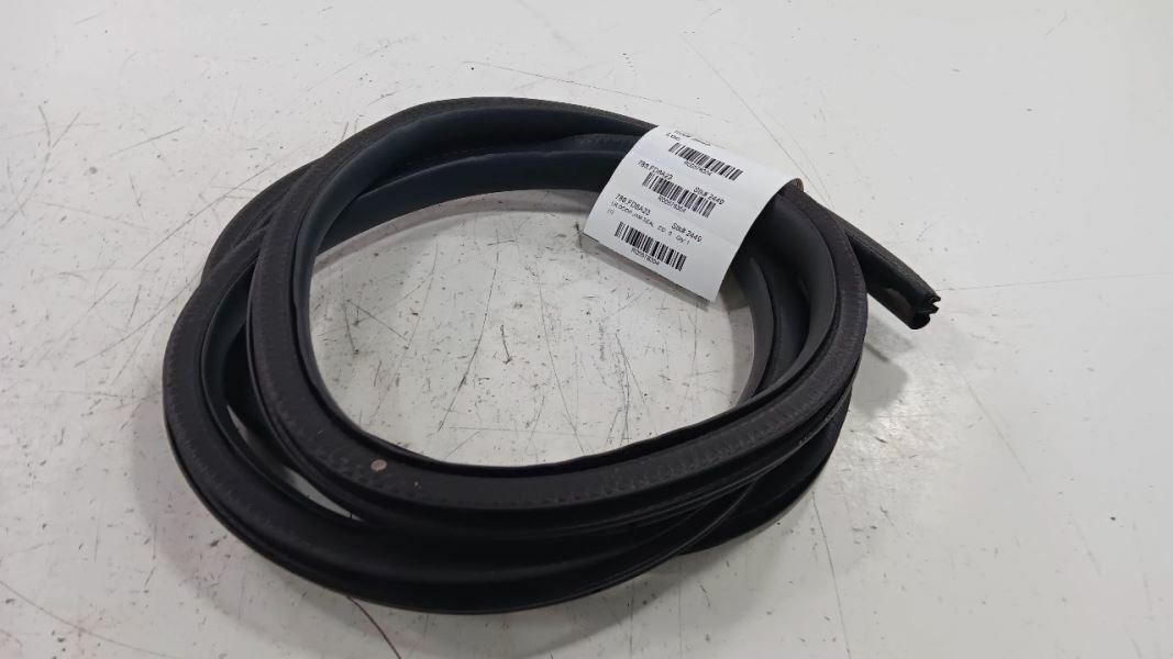 Ford Escape On Body Door Jamb Seal Rear Left Back  2020 2021 2022 2023 - $94.69