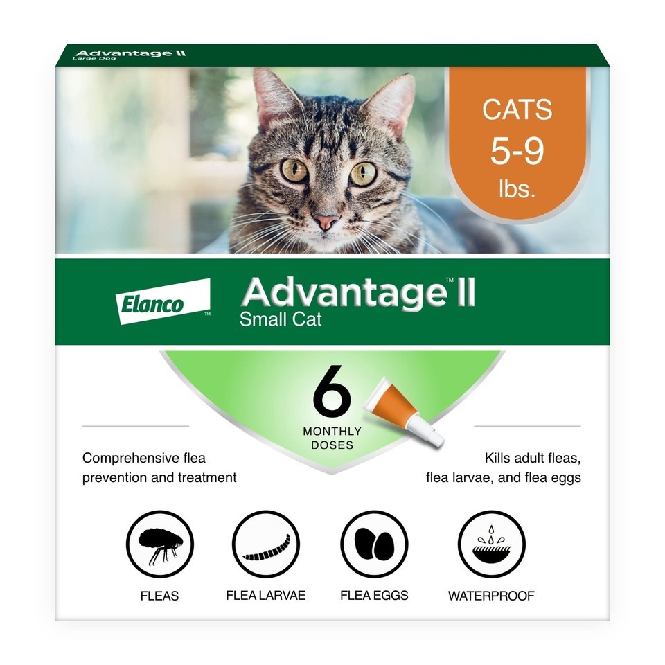 Advantage II Small Cat Vet-Recommended Flea Treatment &amp; Prevention | Cat... - $59.65