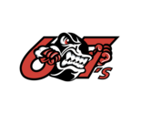 Ottawa 67s Ontario Hockey League Mens Embroidered Polo XS-6X, LT-4XLT OH... - £21.64 GBP+