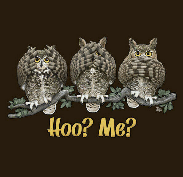 Primary image for Owl Sweatshirt S M L Unisex Humor New Hoo Me Brown NWT Cotton NEW