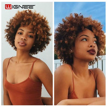 Short Hair Synthetic Wigs Afro Kinky Curly Heat Resistant for Women Mixed Brown  - $55.99