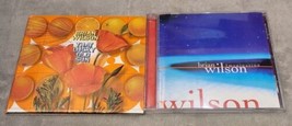 Lot 2 Brian Wilson CDs~Imagnination-1998~That Lucky Old Sun-2008~The Beach Boys - £6.48 GBP