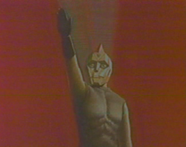Item image 11