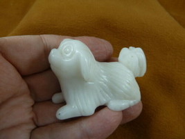 (Y-DOG-LL-402) white Onyx Lhasa Apso Llasa Apso Mi-Ki dog FIGURINE pup c... - £15.50 GBP